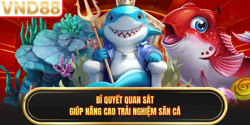 Bí quyết quan sát giúp nâng cao trải nghiệm săn cá