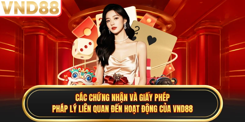 Các chứng nhận và giấy phép pháp lý liên quan đến hoạt động của VND88
