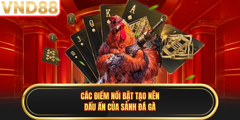 Các điểm nổi bật tạo nên dấu ấn của sảnh đá gà