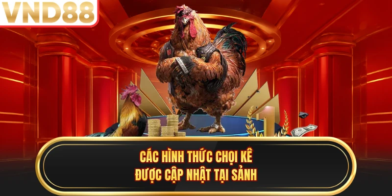 Các hình thức chọi kê được cập nhật tại sảnh