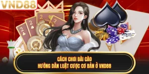 Cách Chơi Bài Cào - Hướng Dẫn Luật Cược Cơ Bản Ở VND88