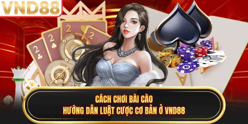 Cách Chơi Bài Cào - Hướng Dẫn Luật Cược Cơ Bản Ở VND88