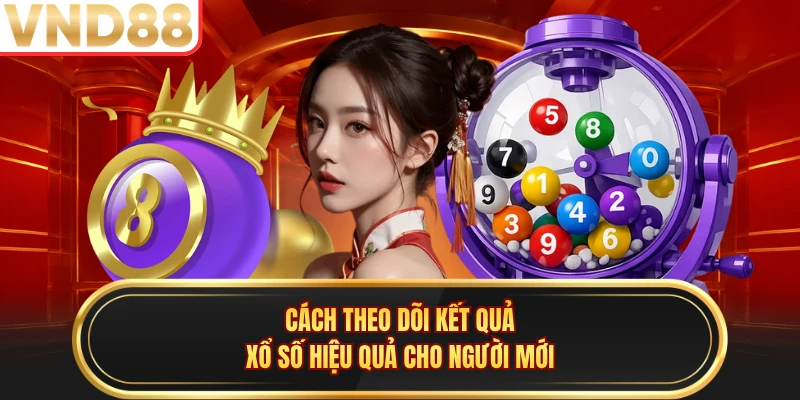 Cách theo dõi kết quả xổ số hiệu quả cho người mới