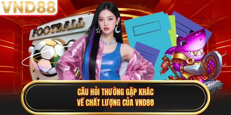 Câu hỏi thường gặp khác về chất lượng của VND88