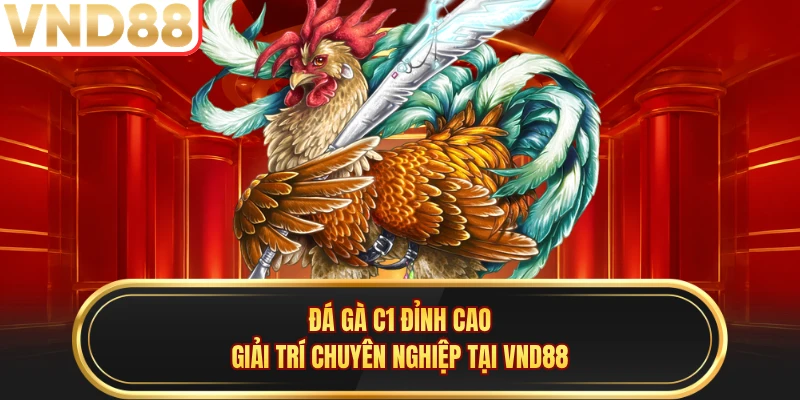 Đá Gà C1 Đỉnh Cao, Giải Trí Chuyên Nghiệp Tại VND88