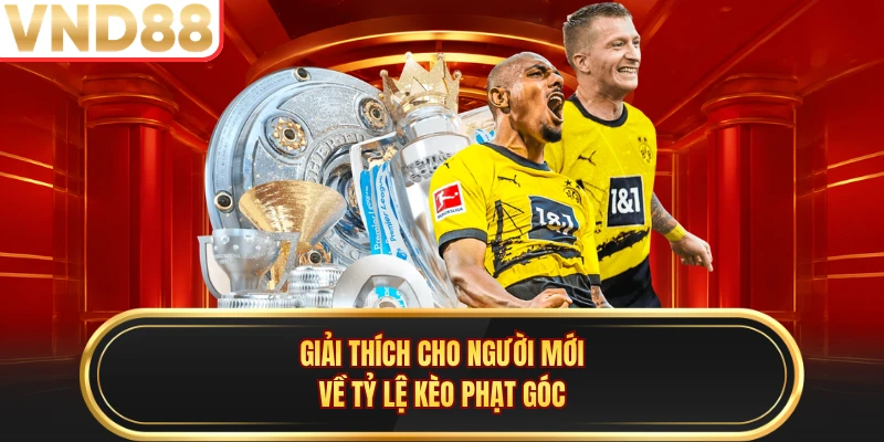 Giải thích cho người mới về tỷ lệ kèo phạt góc