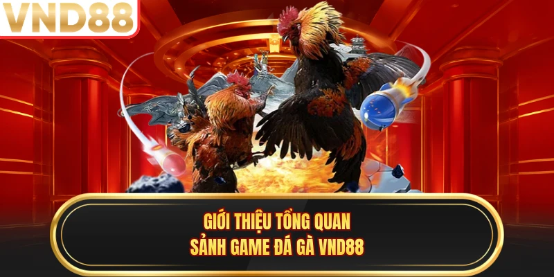 Giới thiệu tổng quan sảnh game đá gà VND88