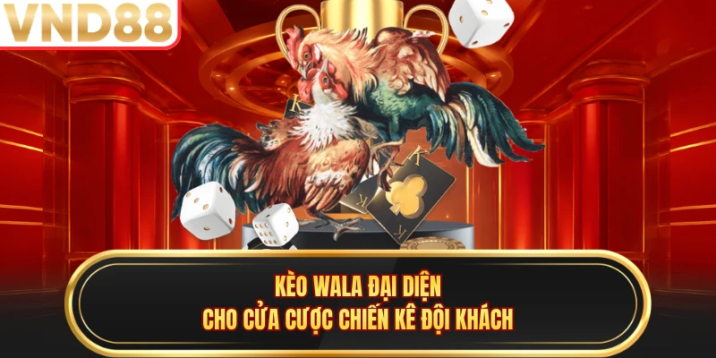 Kèo Wala đại diện cho cửa cược chiến kê đội khách