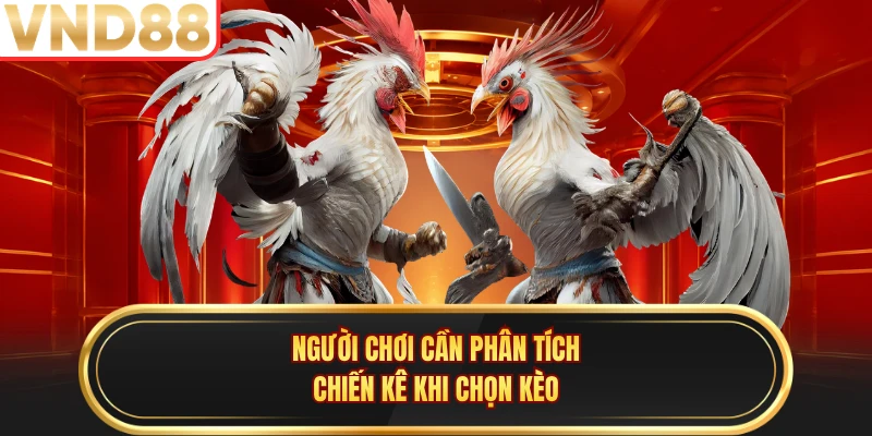 Người chơi cần phân tích chiến kê khi chọn kèo