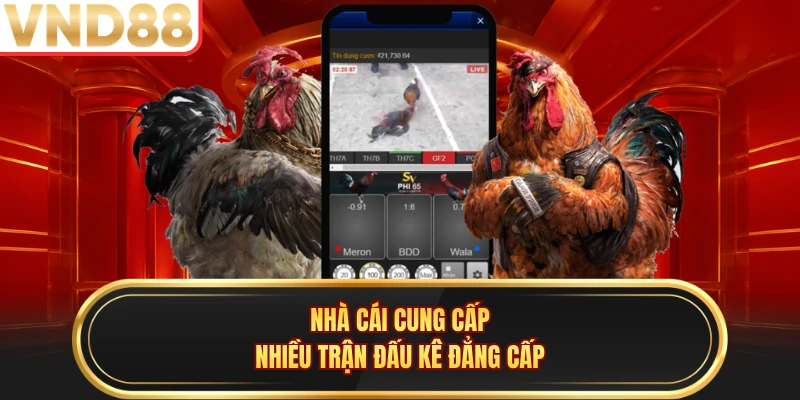 Nhà cái cung cấp nhiều trận đấu kê đẳng cấp