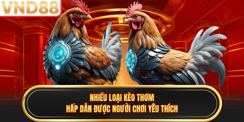 Nhiều loại kèo thơm hấp dẫn được người chơi yêu thích