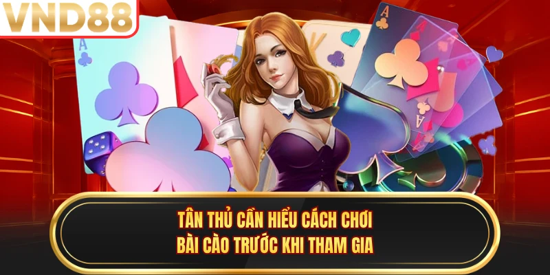 Tân thủ cần hiểu cách chơi bài cào trước khi tham gia