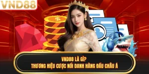 VND88 Là Gì? Thương Hiệu Cược Nổi Danh Hàng Đầu Châu Á